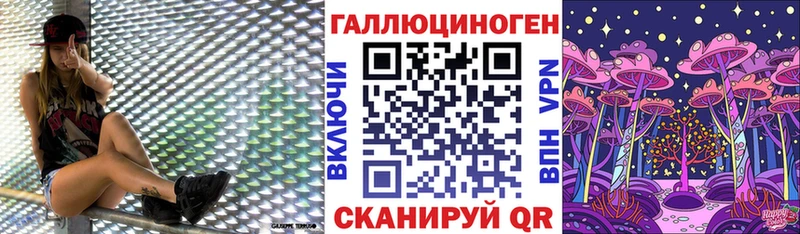 сколько стоит  Мамадыш  Псилоцибиновые грибы Psilocybine cubensis 